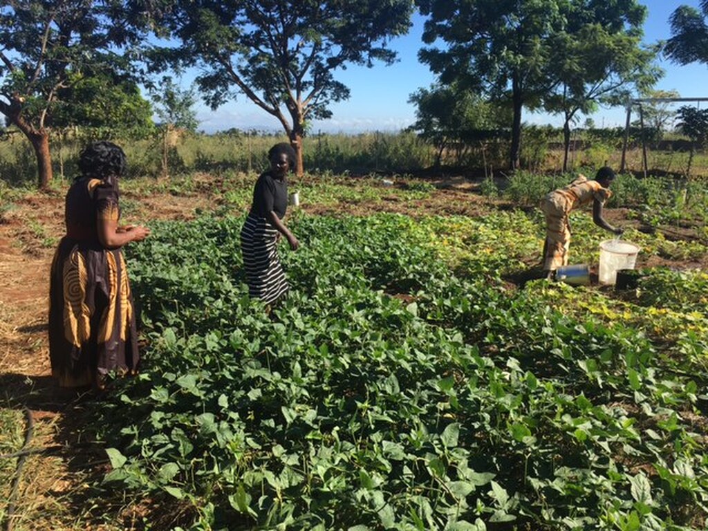 Día internacional de la Tierra: efectos de los desequilibrios medioambientales en Malaui y trabajo del programa DREAM para 